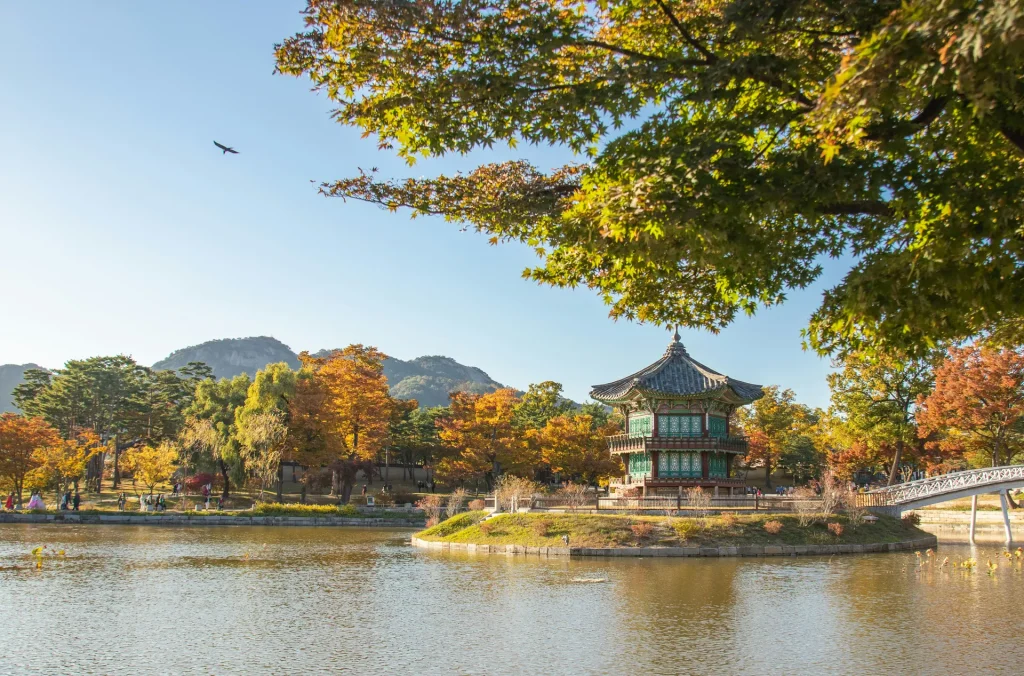 Coreapón by Himba, Corea del Sur y Kyushu, Japón