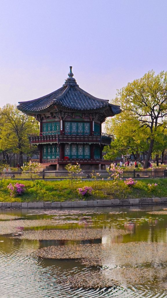 Coreapón by Himba, Corea del Sur y Kyushu, Japón