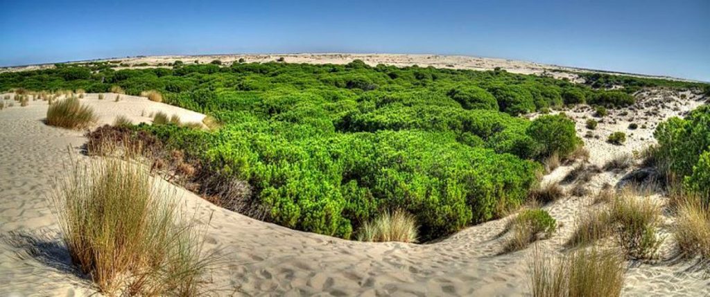 Multiaventura en Andalucía y velero en Algarve